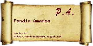 Pandia Amadea névjegykártya